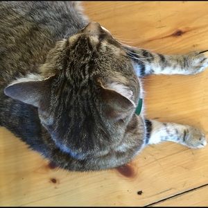 Meet your Posher, Marlene